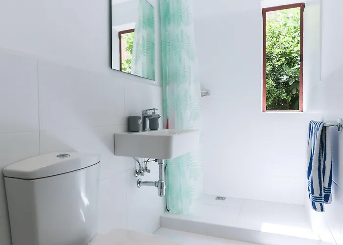 Pensiune House Of Pomegranates By Holi